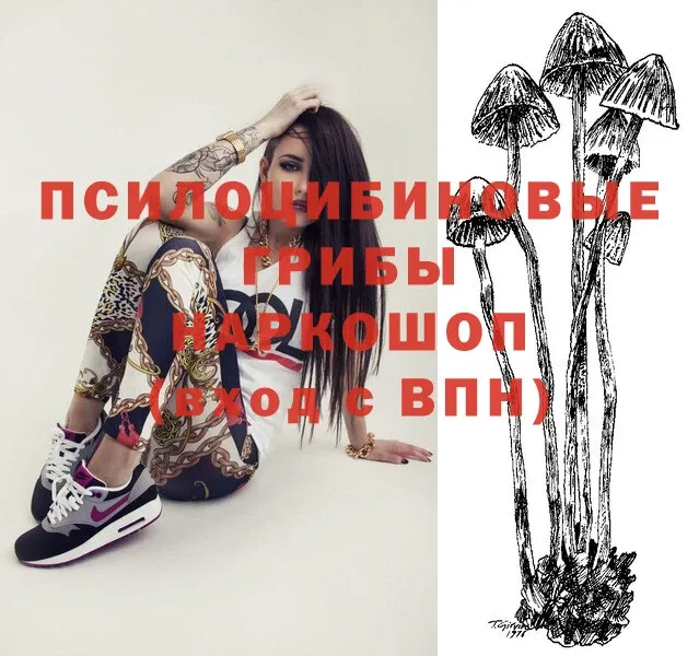 Псилоцибиновые грибы Magic Shrooms  купить закладку  Цоци-Юрт 